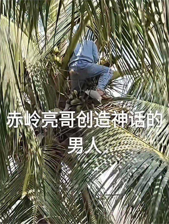 海南队实力不敌对手，战绩继续下跌