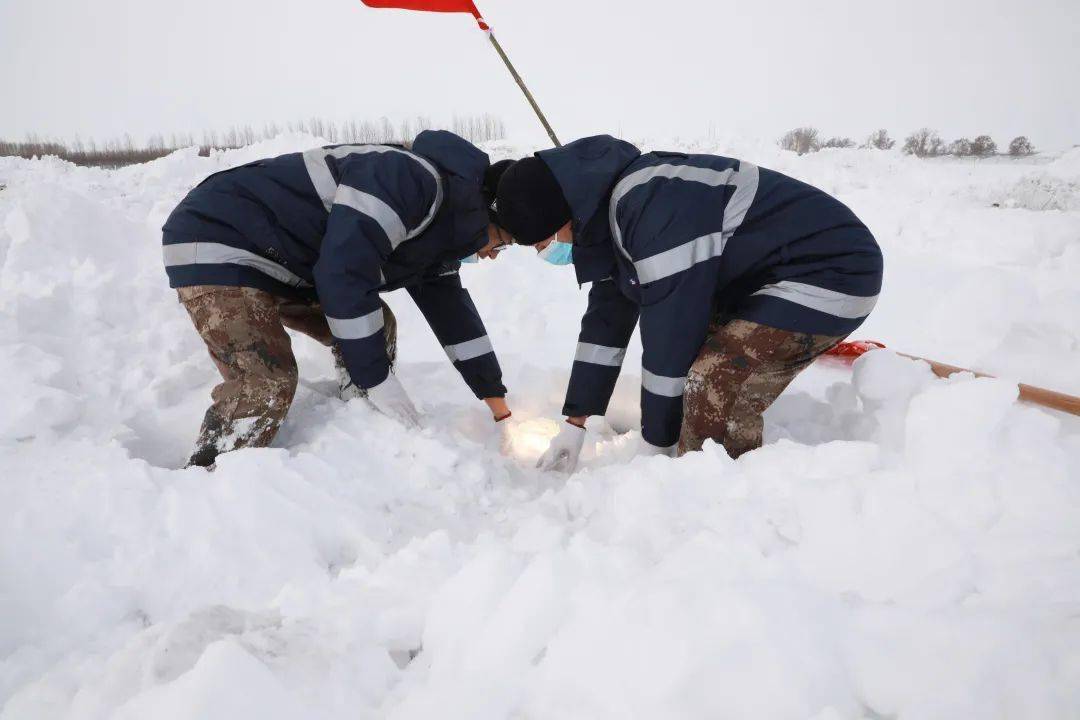 比利时遭遇艰难，需全力应对匈牙利